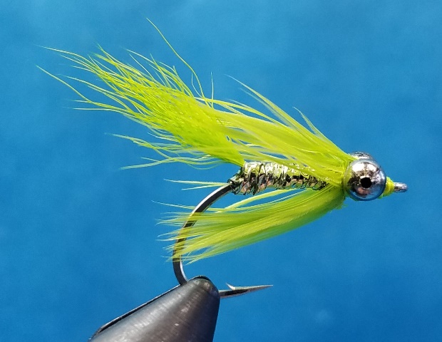 Micro Comet Chartreuse - Click Image to Close